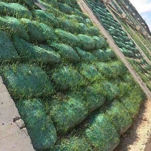 草籽植生袋護坡工程